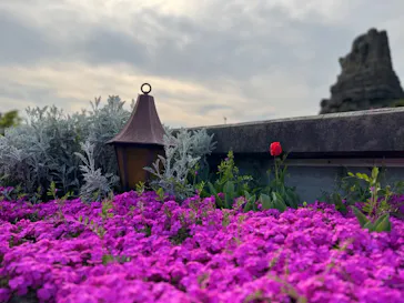 ひらかたパークに投稿された画像（2023/4/4）