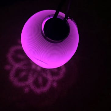 NAKED 桜の新宿御苑 2023に投稿された画像（2023/4/4）