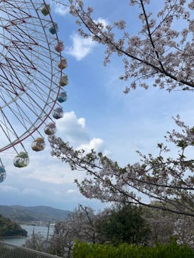浜名湖パルパルに投稿された画像（2023/4/4）