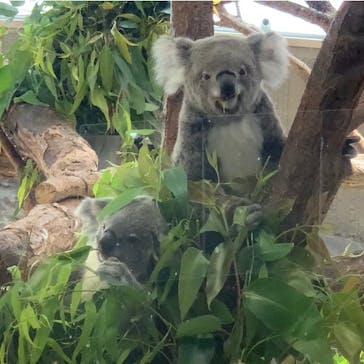 横浜市立金沢動物園に投稿された画像（2023/4/4）