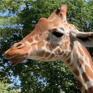 横浜市立金沢動物園に投稿された画像（2023/4/4）