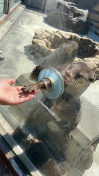 横浜・八景島シーパラダイスに投稿された画像（2023/4/4）