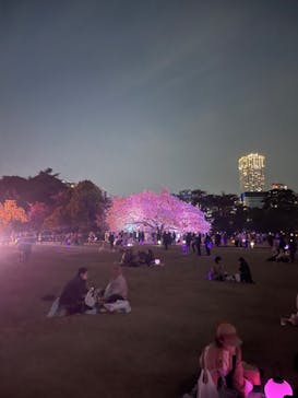 NAKED 桜の新宿御苑 2023に投稿された画像（2023/4/4）