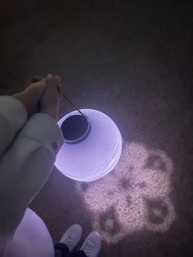 NAKED 桜の新宿御苑 2023に投稿された画像（2023/4/4）