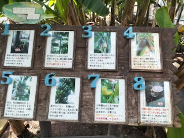 熱川バナナワニ園に投稿された画像（2023/4/4）