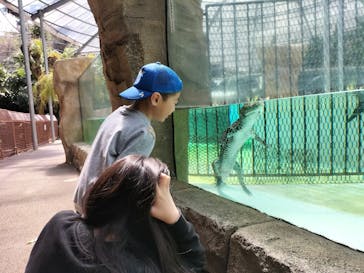 熱川バナナワニ園に投稿された画像（2023/4/4）