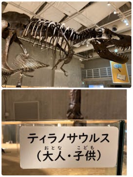 特別展「恐竜博2023」に投稿された画像（2023/4/4）