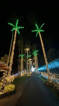 美らヤシパークオキナワ・東南植物楽園に投稿された画像（2023/4/4）