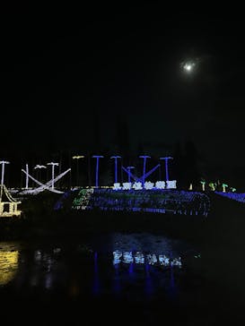 美らヤシパークオキナワ・東南植物楽園に投稿された画像（2023/4/4）