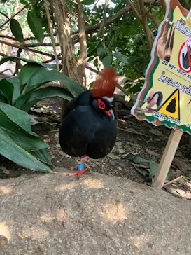 神戸どうぶつ王国に投稿された画像（2023/4/4）