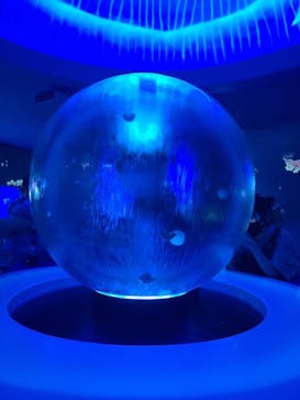 新江ノ島水族館に投稿された画像（2023/4/4）