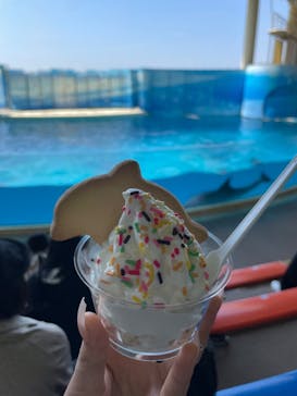 新江ノ島水族館に投稿された画像（2023/4/4）