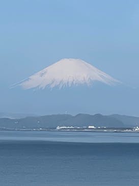 新江ノ島水族館に投稿された画像（2023/4/4）