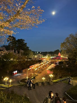 西武園ゆうえんちに投稿された画像（2023/4/4）