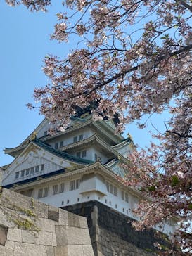 大阪城天守閣に投稿された画像（2023/4/4）