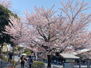 鈴鹿サーキットに投稿された画像（2023/4/4）