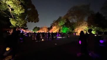 NAKED 桜の新宿御苑 2023に投稿された画像（2023/4/4）