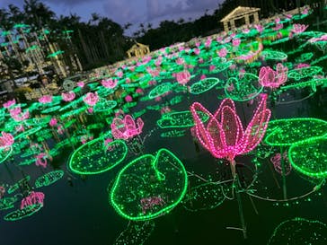 美らヤシパークオキナワ・東南植物楽園に投稿された画像（2023/4/4）
