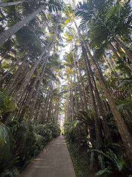 美らヤシパークオキナワ・東南植物楽園に投稿された画像（2023/4/4）