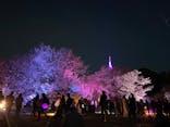 NAKED 桜の新宿御苑 2023に投稿された画像（2023/4/5）