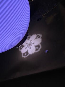 NAKED 桜の新宿御苑 2023に投稿された画像（2023/4/4）