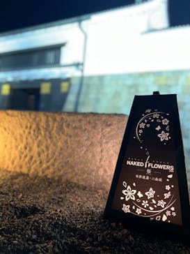 『NAKED FLOWERS 2023 桜 世界遺産・二条城』に投稿された画像（2023/4/4）