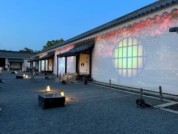 『NAKED FLOWERS 2023 桜 世界遺産・二条城』に投稿された画像（2023/4/4）