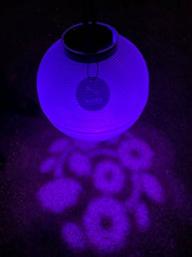 NAKED 桜の新宿御苑 2023に投稿された画像（2023/4/4）