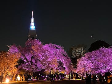 NAKED 桜の新宿御苑 2023に投稿された画像（2023/4/4）