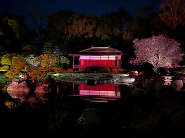 『NAKED FLOWERS 2023 桜 世界遺産・二条城』に投稿された画像（2023/4/4）