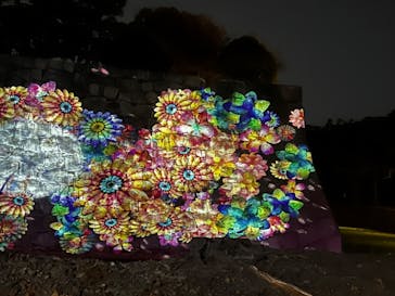 『NAKED FLOWERS 2023 桜 世界遺産・二条城』に投稿された画像（2023/4/4）