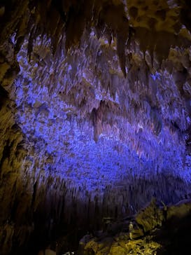 おきなわワールドに投稿された画像（2023/4/4）