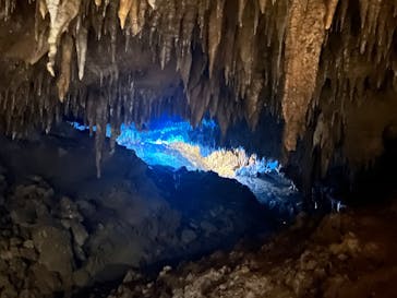 おきなわワールドに投稿された画像（2023/4/4）