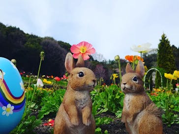 やまぐちフラワーランドに投稿された画像（2023/4/4）