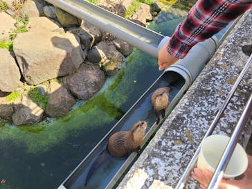 アロハガーデンたてやまに投稿された画像（2023/4/4）