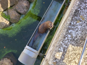 アロハガーデンたてやまに投稿された画像（2023/4/4）