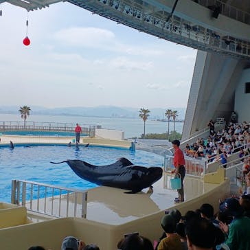 マリンワールド海の中道に投稿された画像（2023/4/4）