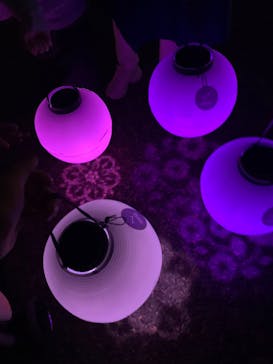 NAKED 桜の新宿御苑 2023に投稿された画像（2023/4/5）