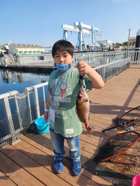 横浜・八景島シーパラダイスに投稿された画像（2023/4/5）