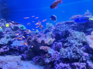 横浜・八景島シーパラダイスに投稿された画像（2023/4/5）