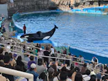 名古屋港水族館に投稿された画像（2023/4/5）