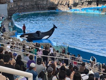 名古屋港水族館に投稿された画像（2023/4/5）