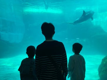 名古屋港水族館に投稿された画像（2023/4/5）