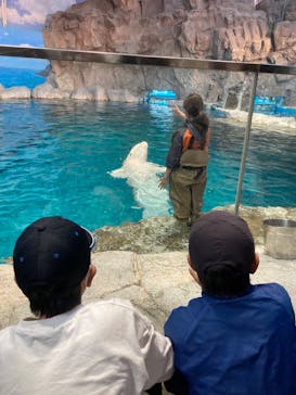 名古屋港水族館に投稿された画像（2023/4/5）