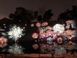『NAKED FLOWERS 2023 桜 世界遺産・二条城』に投稿された画像（2023/4/5）
