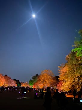 NAKED 桜の新宿御苑 2023に投稿された画像（2023/4/5）