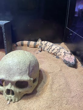 サンシャイン水族館に投稿された画像（2023/4/5）