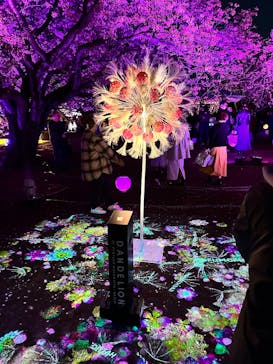 NAKED 桜の新宿御苑 2023に投稿された画像（2023/4/5）