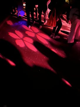 NAKED 桜の新宿御苑 2023に投稿された画像（2023/4/5）