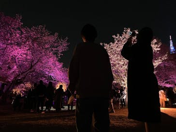 NAKED 桜の新宿御苑 2023に投稿された画像（2023/4/5）